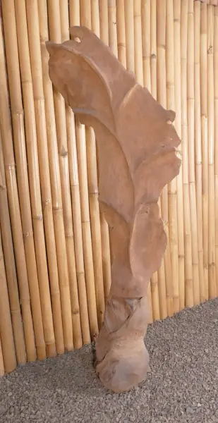 Product image 1 of the product “Leaf made of teak wood about 140cm height ”